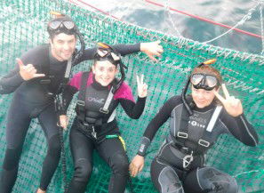 Dolphin Swim Australia - Accommodation Coffs Harbour 7