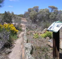 Christmas Rock Walk - Accommodation Coffs Harbour