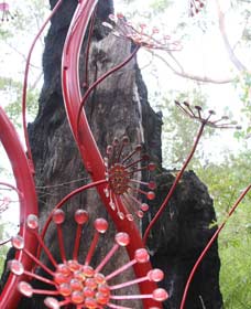 Understory Art In Nature - Accommodation Coffs Harbour 0