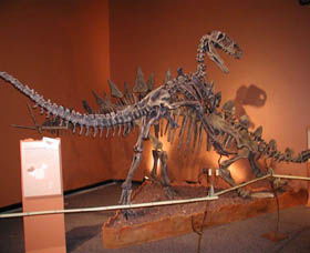 Denmark Dinosaur World - Accommodation Coffs Harbour 0