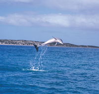 Steep Point - Accommodation Coffs Harbour
