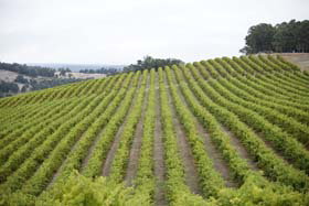 Crooked Brook WA Accommodation Coffs Harbour