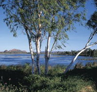 Celebrity Tree Park - Accommodation Coffs Harbour
