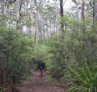 Margaret River Rails Trail - Accommodation Coffs Harbour