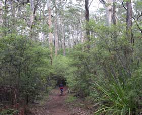 Margaret River Rails Trail - Accommodation Coffs Harbour 0