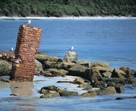 Whalers Beach - Accommodation Coffs Harbour 0
