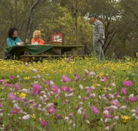 Gwambygine Park - Accommodation Coffs Harbour