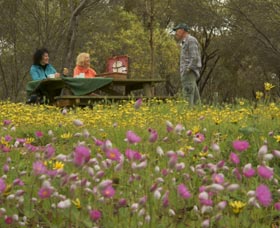 Gwambygine Park - Accommodation Coffs Harbour 0