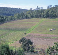 Darling Range - Accommodation Coffs Harbour