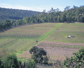 Darling Range - Accommodation Coffs Harbour 0