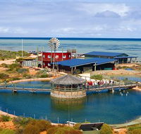 Ocean Park Aquarium - Accommodation Coffs Harbour