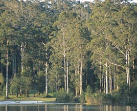 Big Brook Dam - Accommodation Coffs Harbour 0