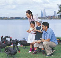 Lake Monger - Accommodation Coffs Harbour