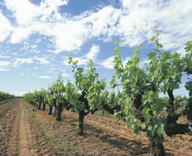 Alexandra Bridge WA Accommodation Coffs Harbour