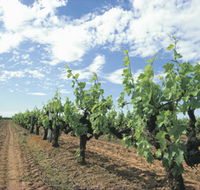 Blackwood Meadery - Accommodation Coffs Harbour