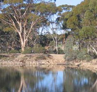 Merredin Railway Dam - Accommodation Coffs Harbour