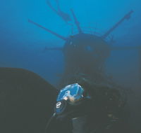 Swan Dive Wreck - Accommodation Coffs Harbour
