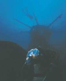 Swan Dive Wreck - Accommodation Coffs Harbour 0