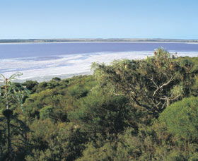 Pink Lake - Accommodation Coffs Harbour 0