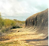Totadgin Dam Reserve - Accommodation Coffs Harbour