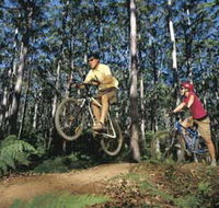 Leeuwin-Naturaliste National Park - Cowaramup - Accommodation Coffs Harbour