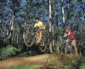 Leeuwin-Naturaliste National Park - Cowaramup - Accommodation Coffs Harbour 0
