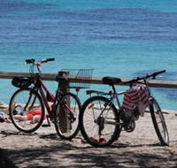 Parker Point Marine Snorkel Trail - Accommodation Coffs Harbour
