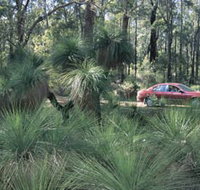 Bridgetown Jarrah Park - Accommodation Coffs Harbour