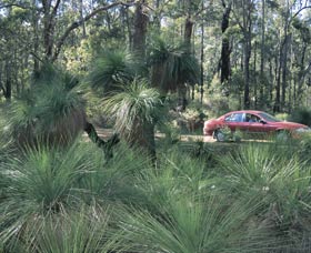 Bridgetown Jarrah Park - Accommodation Coffs Harbour 0