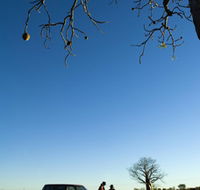 Joonjoo Botanical Trail - Accommodation Coffs Harbour