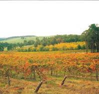 Byramgou Park - Accommodation Coffs Harbour