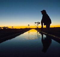 Myalls Bore - Accommodation Coffs Harbour