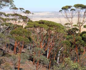 Mount Matilda Walk Trail, Wongan Hills - Accommodation Coffs Harbour 0