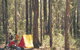 Lane Poole Reserve - thumb 0