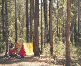 Lane Poole Reserve - Accommodation Coffs Harbour 0