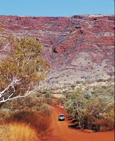 Mount Nameless - Accommodation Coffs Harbour 0