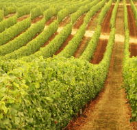 MadFish Wines Margaret River - Accommodation Coffs Harbour
