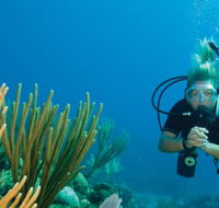 Coastal Water Dive - Accommodation Coffs Harbour
