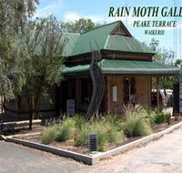 Rain Moth Gallery - Accommodation Coffs Harbour