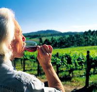 Ashton Hills Vineyard - Accommodation Coffs Harbour