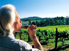 Ashton Hills Vineyard - Accommodation Coffs Harbour 0