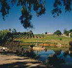 Mount Hurtle Winery home of Geoff Merrill Wines - Accommodation Coffs Harbour