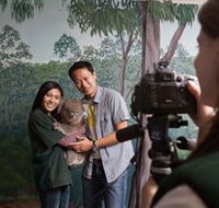 Cleland Wildlife Park - Accommodation Coffs Harbour