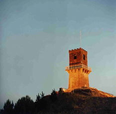 Centenary Tower - Accommodation Coffs Harbour 0