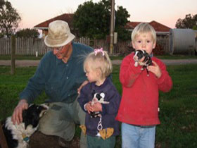 Orrie Cowie Merino And Poll Merino Stud - Accommodation Coffs Harbour 0