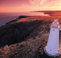 Lashmar Conservation Park - Accommodation Coffs Harbour