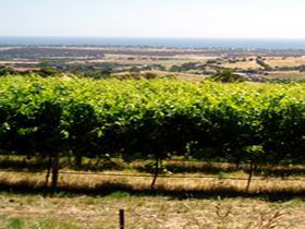  Accommodation Coffs Harbour