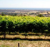 Braydun Hill Vineyard - Accommodation Coffs Harbour