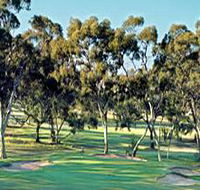 Tanunda Pines Golf Club - Accommodation Coffs Harbour