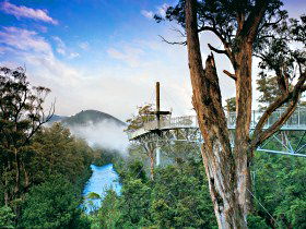  Accommodation Coffs Harbour